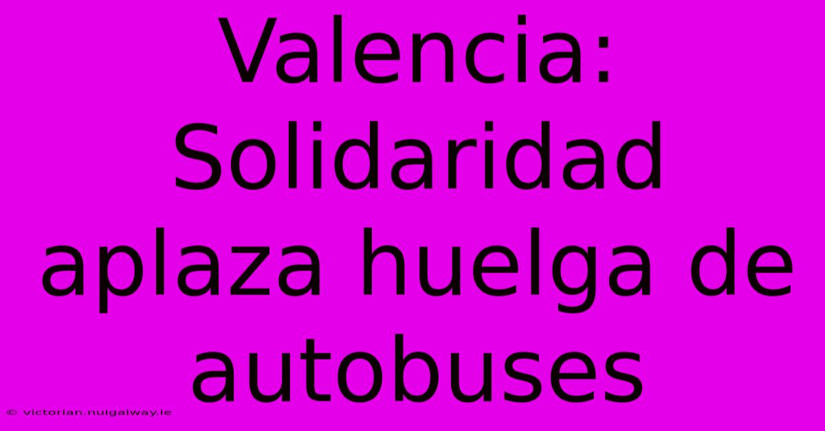 Valencia: Solidaridad Aplaza Huelga De Autobuses