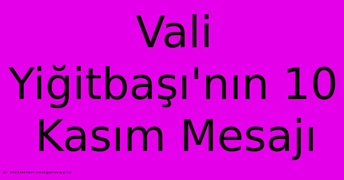 Vali Yiğitbaşı'nın 10 Kasım Mesajı