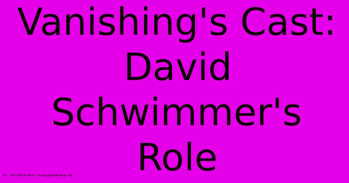 Vanishing's Cast: David Schwimmer's Role