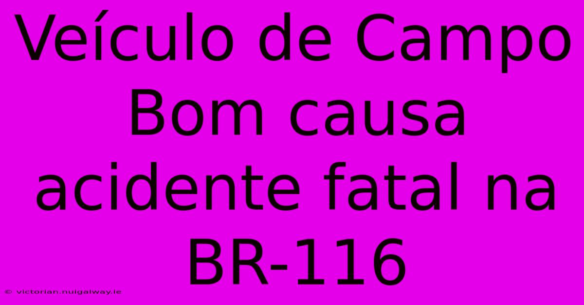 Veículo De Campo Bom Causa Acidente Fatal Na BR-116