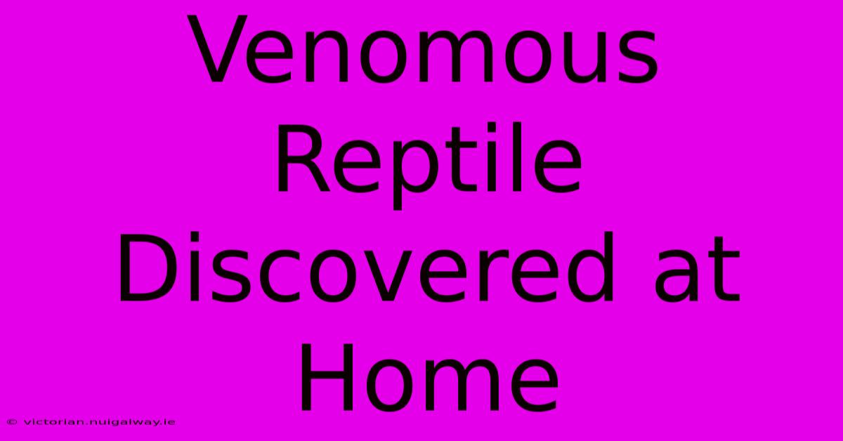 Venomous Reptile Discovered At Home