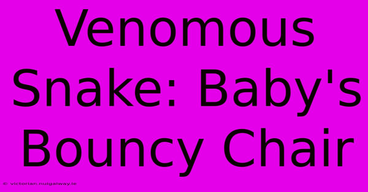 Venomous Snake: Baby's Bouncy Chair