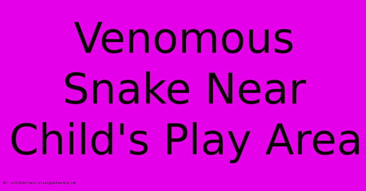 Venomous Snake Near Child's Play Area