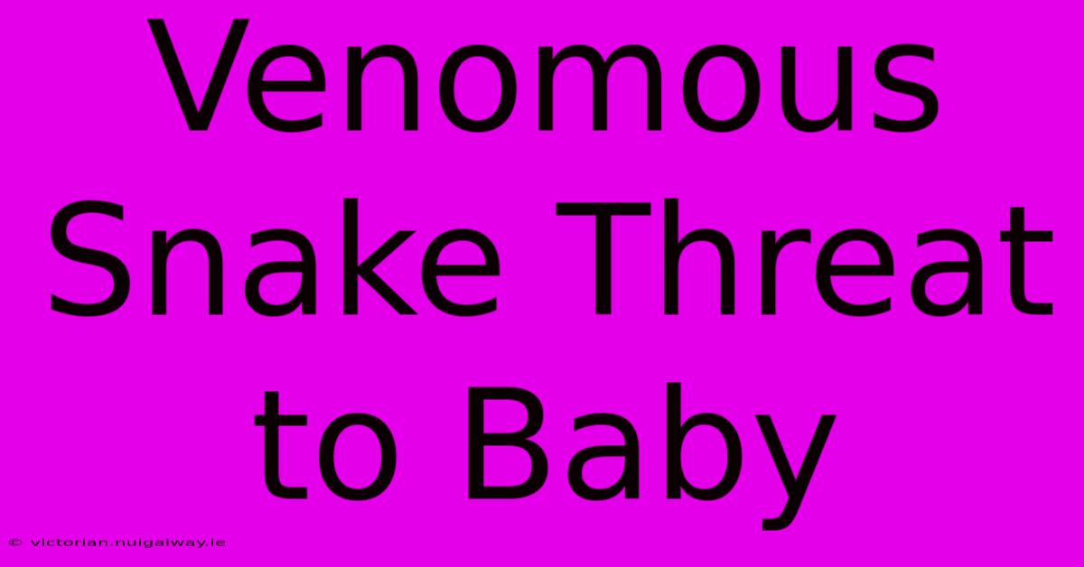 Venomous Snake Threat To Baby