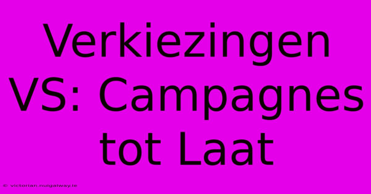 Verkiezingen VS: Campagnes Tot Laat