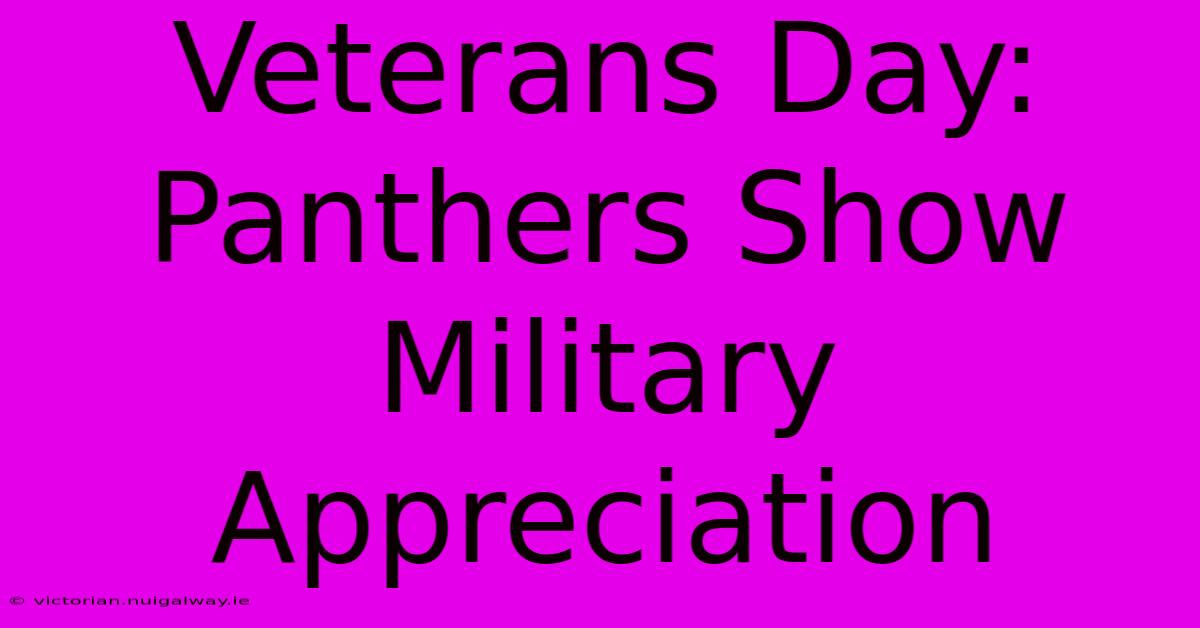 Veterans Day: Panthers Show Military Appreciation