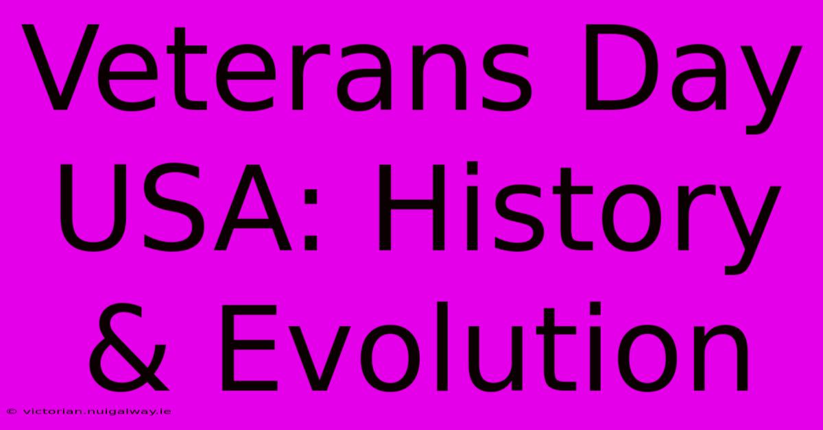 Veterans Day USA: History & Evolution