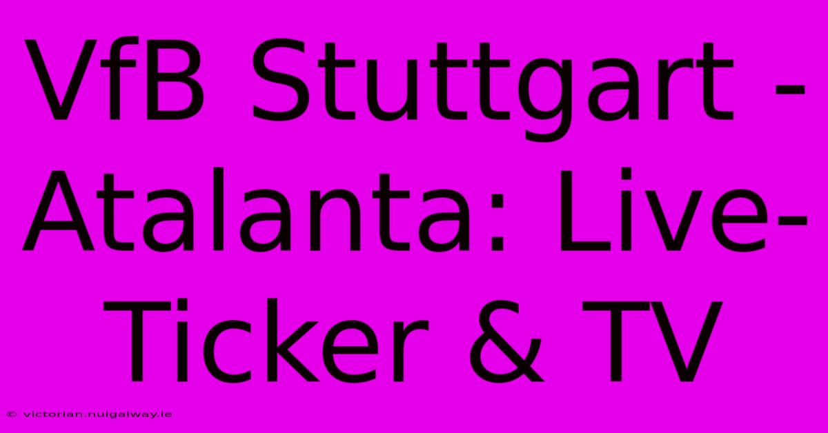 VfB Stuttgart - Atalanta: Live-Ticker & TV