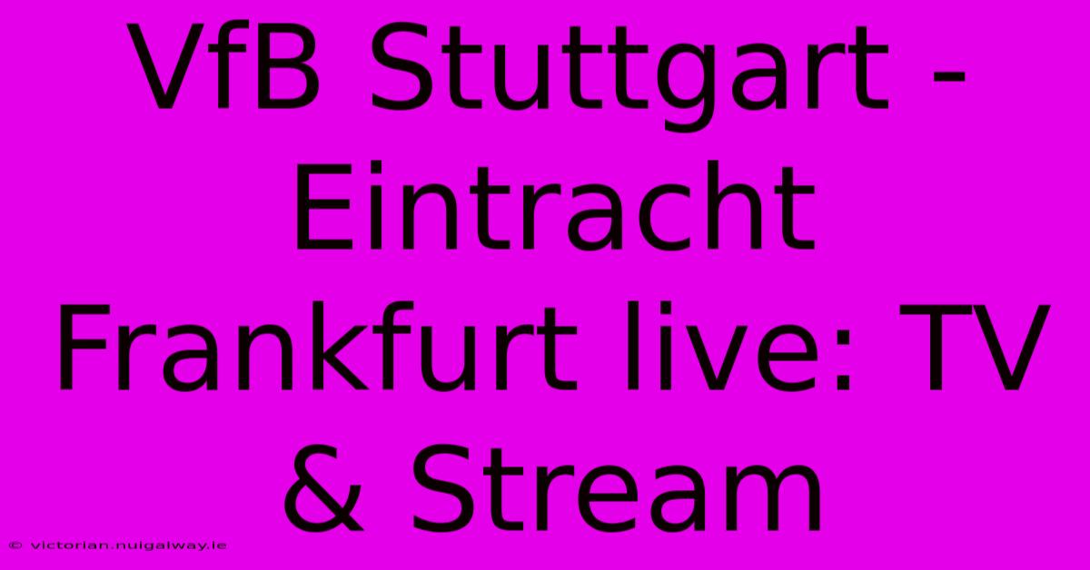 VfB Stuttgart - Eintracht Frankfurt Live: TV & Stream