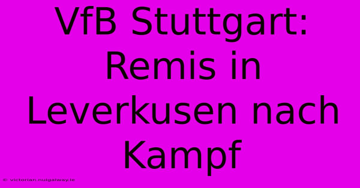 VfB Stuttgart: Remis In Leverkusen Nach Kampf