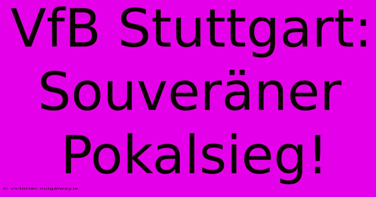 VfB Stuttgart: Souveräner Pokalsieg!