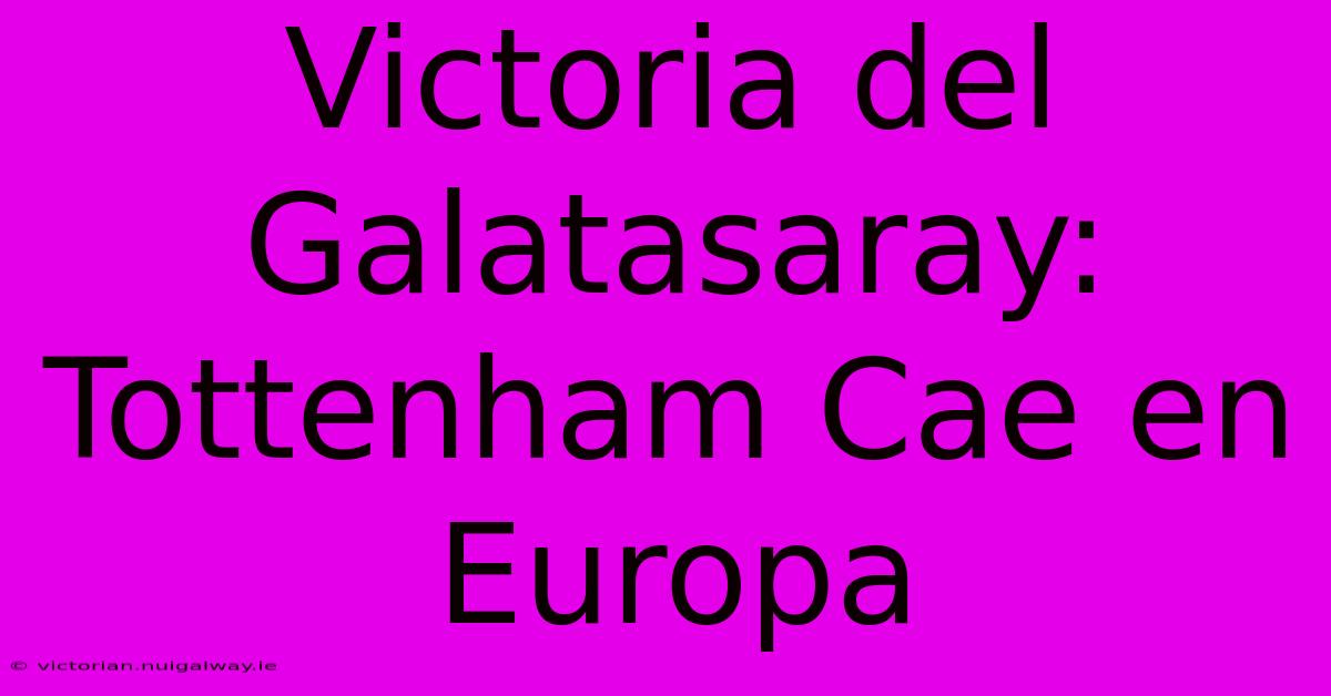 Victoria Del Galatasaray: Tottenham Cae En Europa