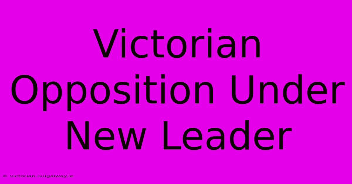 Victorian Opposition Under New Leader