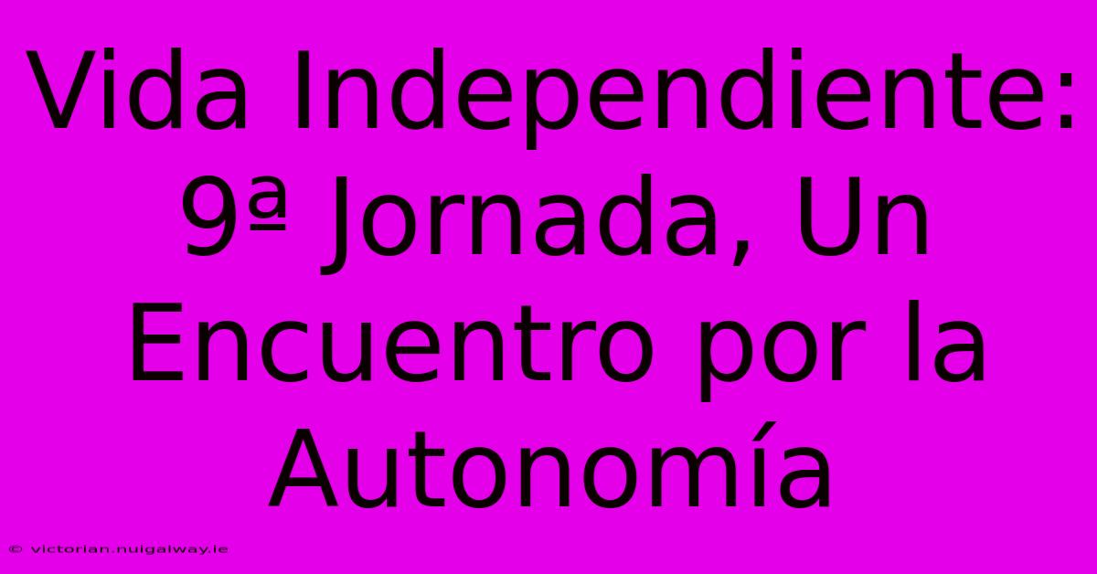 Vida Independiente: 9ª Jornada, Un Encuentro Por La Autonomía