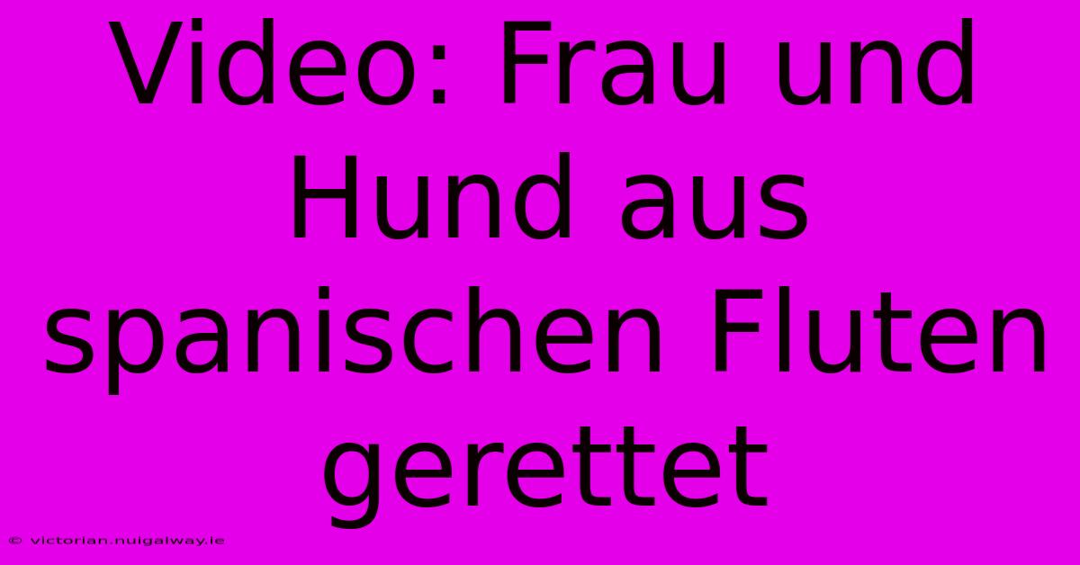 Video: Frau Und Hund Aus Spanischen Fluten Gerettet