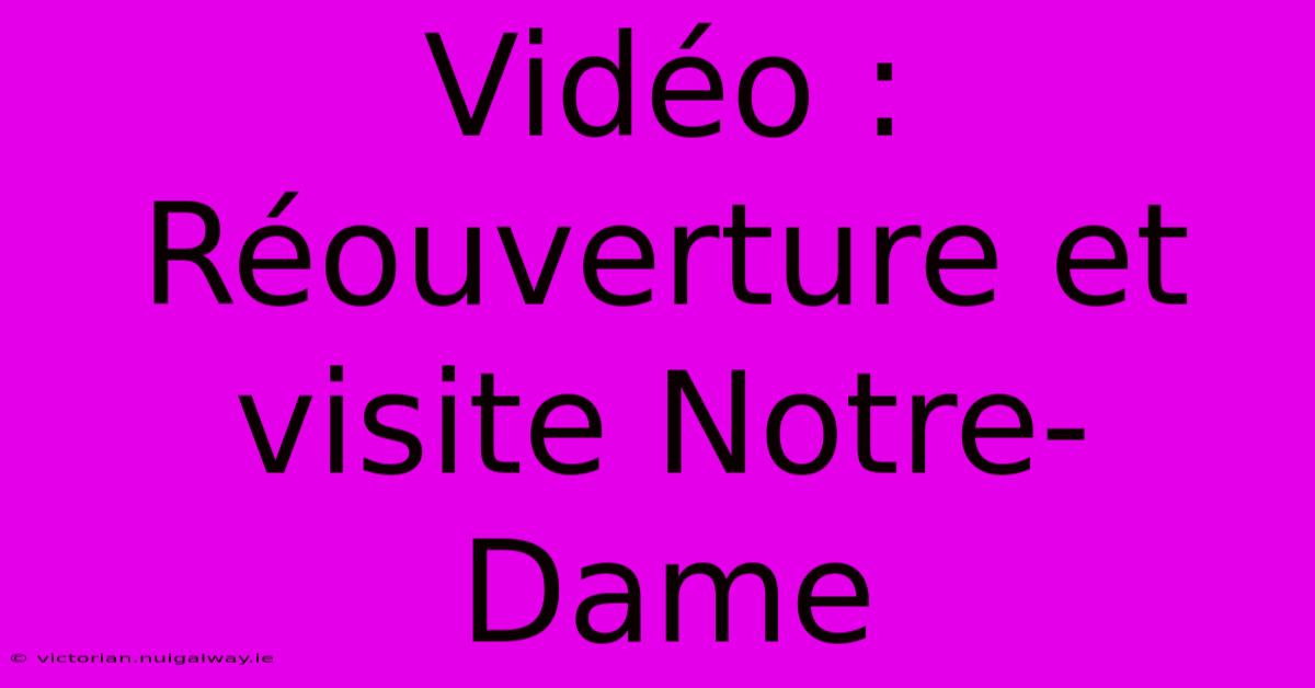 Vidéo : Réouverture Et Visite Notre-Dame