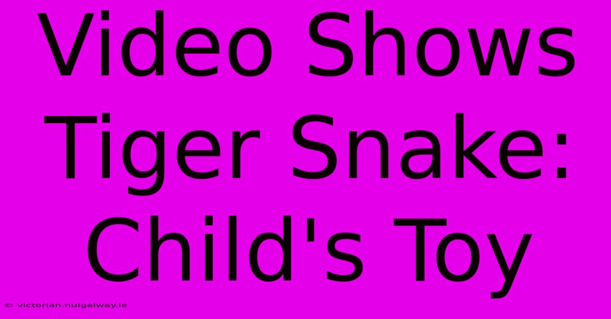 Video Shows Tiger Snake: Child's Toy