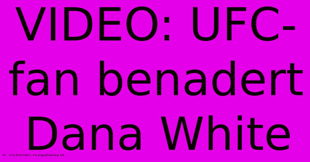 VIDEO: UFC-fan Benadert Dana White