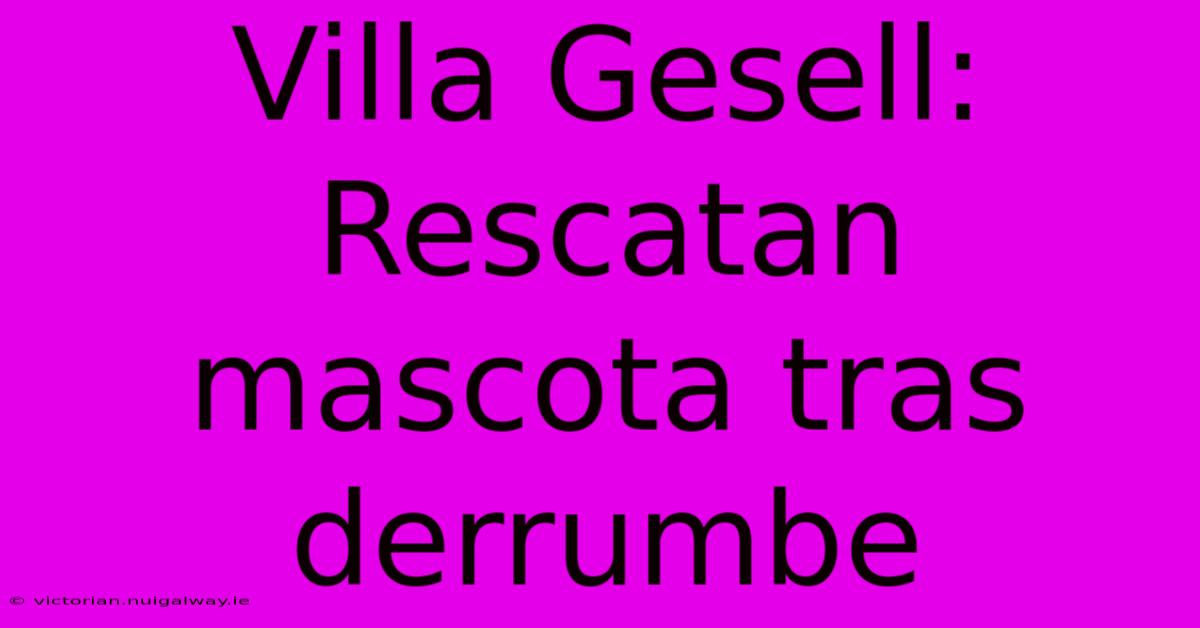 Villa Gesell: Rescatan Mascota Tras Derrumbe 