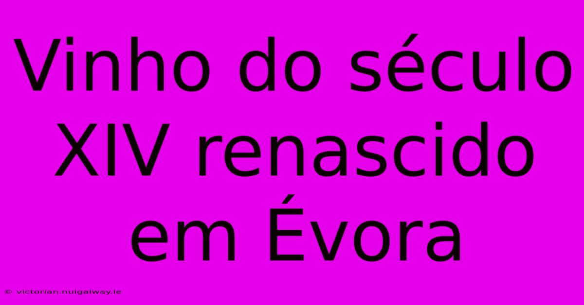 Vinho Do Século XIV Renascido Em Évora