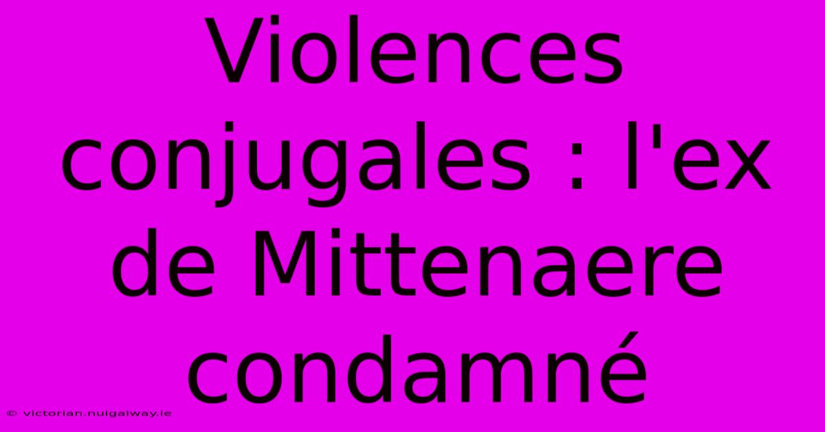 Violences Conjugales : L'ex De Mittenaere Condamné