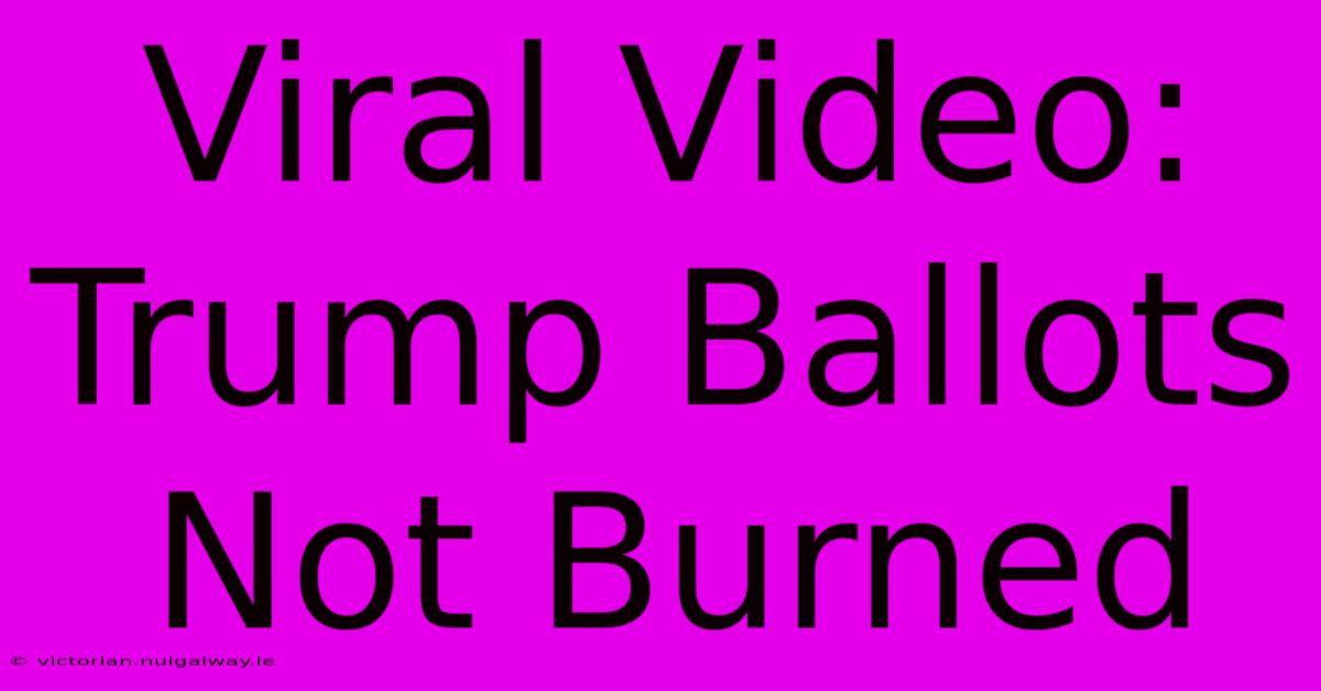 Viral Video: Trump Ballots Not Burned