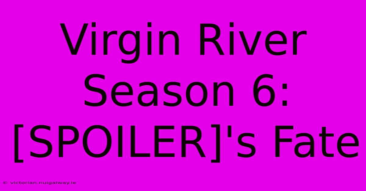 Virgin River Season 6: [SPOILER]'s Fate