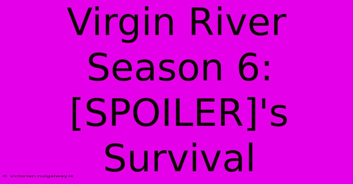 Virgin River Season 6: [SPOILER]'s Survival