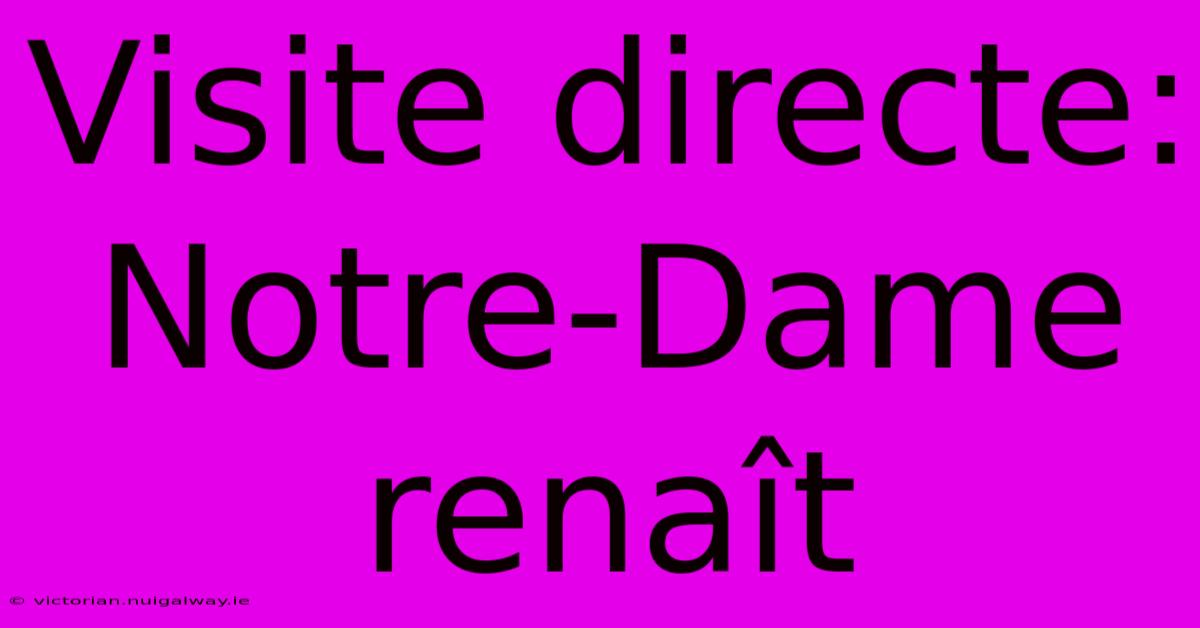 Visite Directe: Notre-Dame Renaît