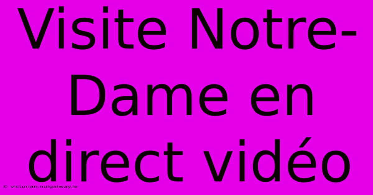 Visite Notre-Dame En Direct Vidéo