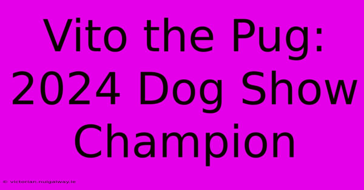 Vito The Pug: 2024 Dog Show Champion