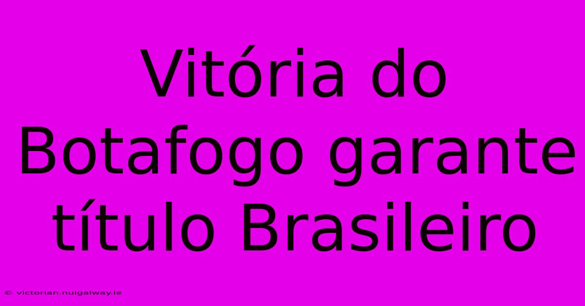 Vitória Do Botafogo Garante Título Brasileiro