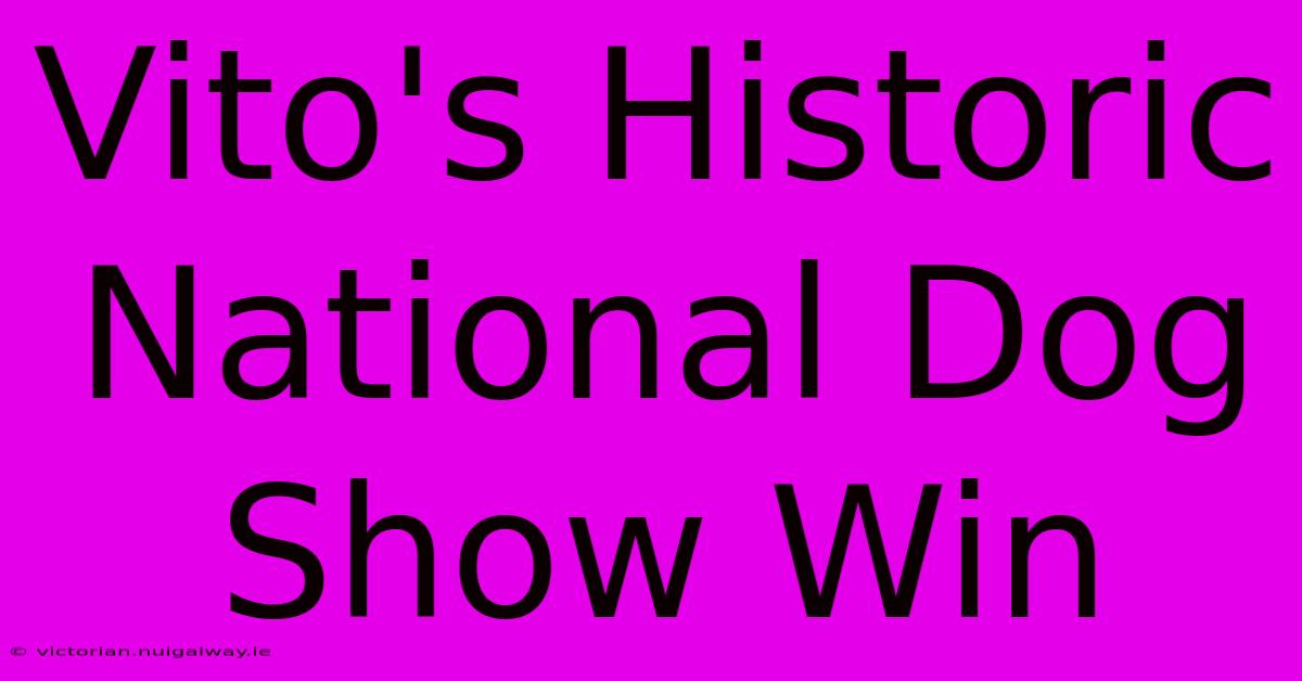 Vito's Historic National Dog Show Win