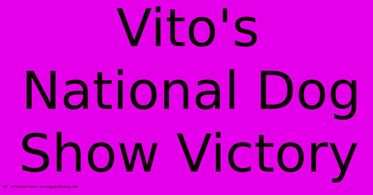 Vito's National Dog Show Victory