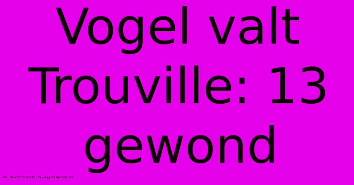 Vogel Valt Trouville: 13 Gewond