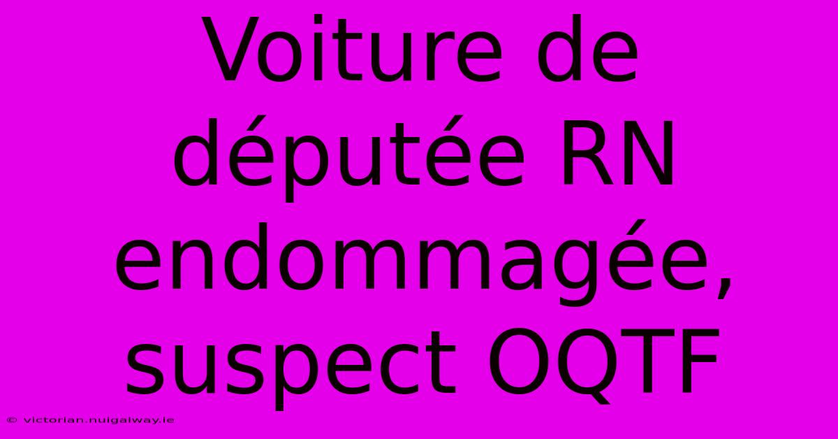 Voiture De Députée RN Endommagée, Suspect OQTF