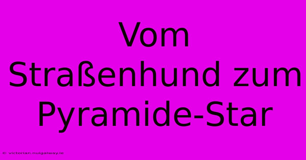 Vom Straßenhund Zum Pyramide-Star