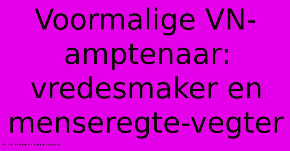 Voormalige VN-amptenaar: Vredesmaker En Menseregte-vegter