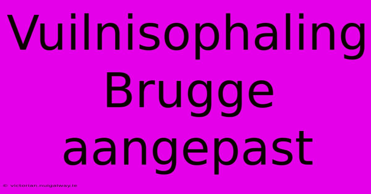 Vuilnisophaling Brugge Aangepast