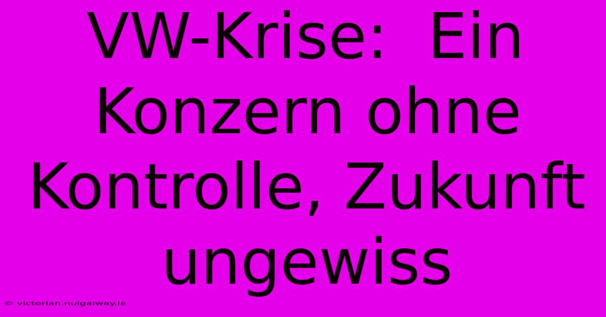 VW-Krise:  Ein Konzern Ohne Kontrolle, Zukunft Ungewiss