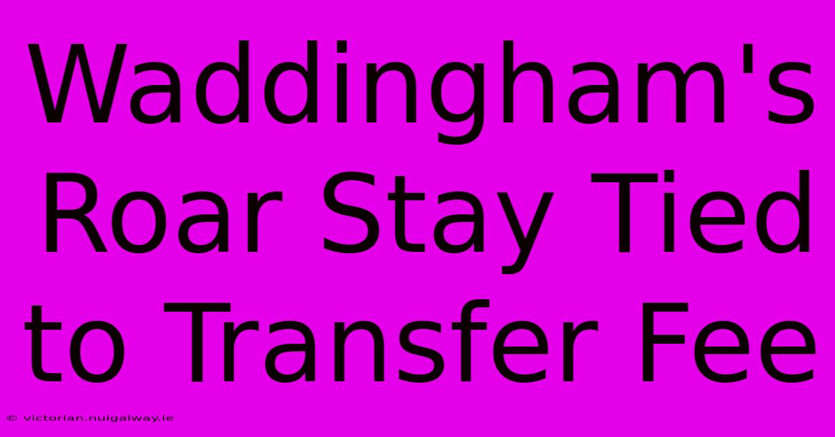 Waddingham's Roar Stay Tied To Transfer Fee