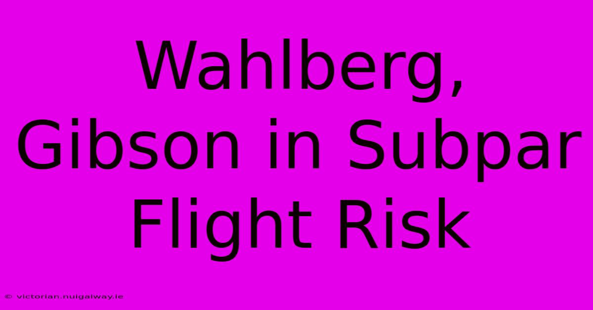 Wahlberg, Gibson In Subpar Flight Risk