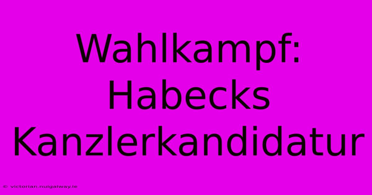 Wahlkampf: Habecks Kanzlerkandidatur 