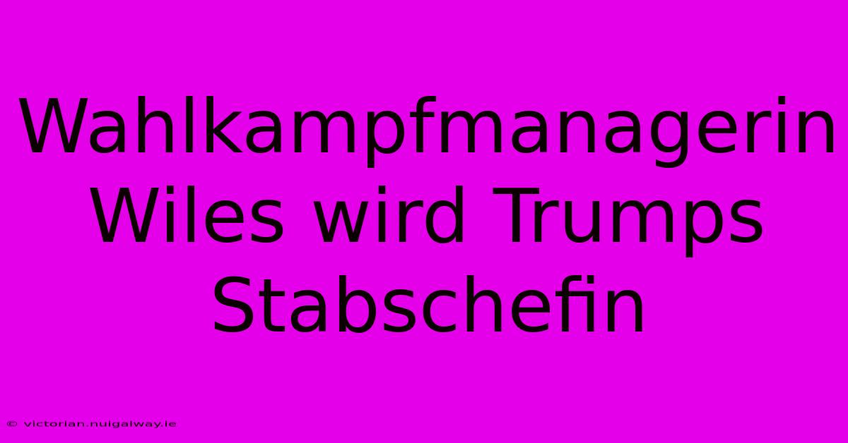 Wahlkampfmanagerin Wiles Wird Trumps Stabschefin