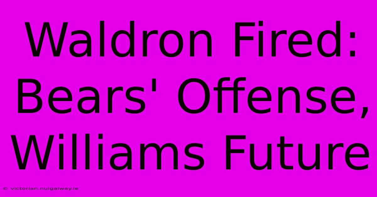 Waldron Fired: Bears' Offense, Williams Future 