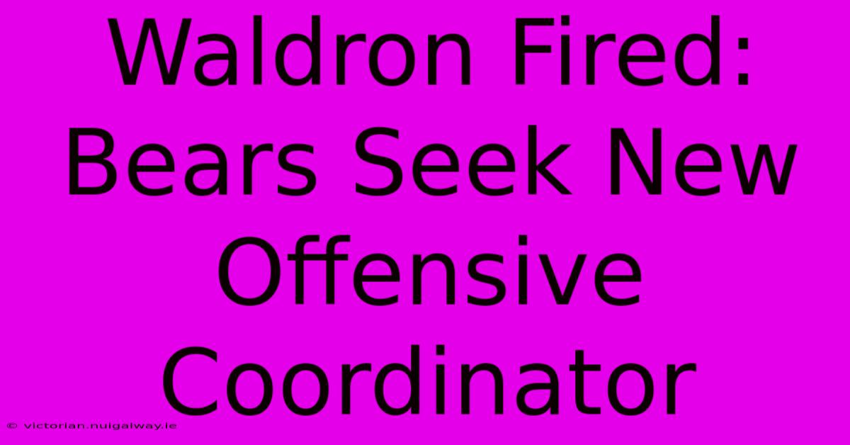 Waldron Fired: Bears Seek New Offensive Coordinator 