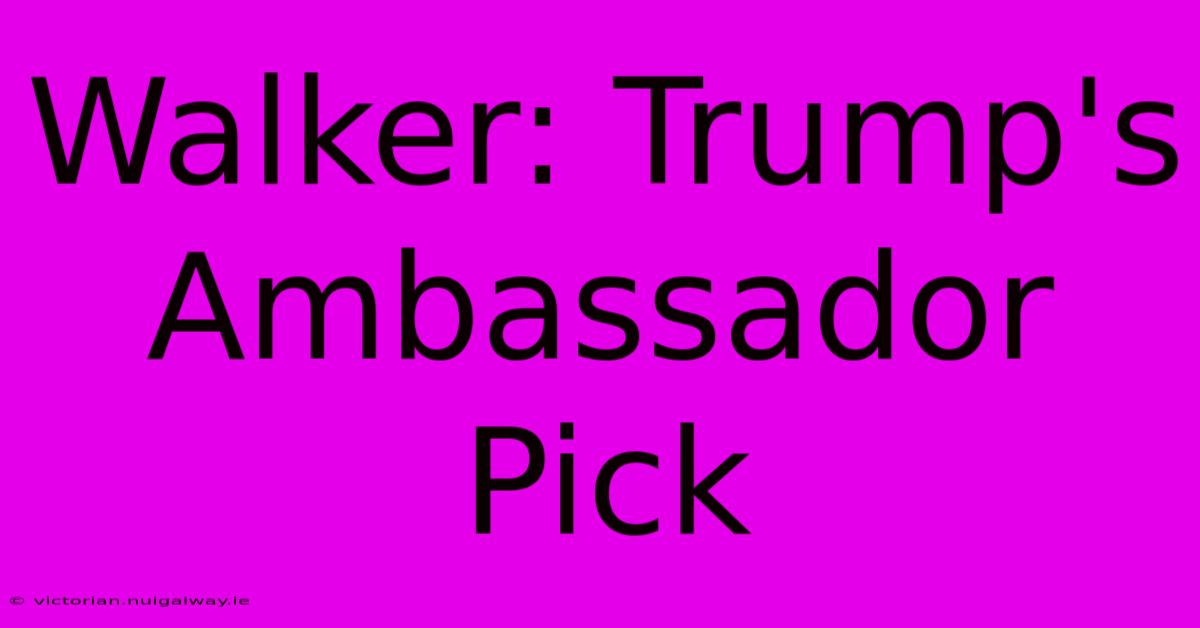 Walker: Trump's Ambassador Pick