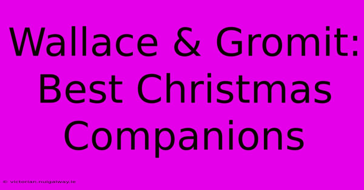 Wallace & Gromit: Best Christmas Companions