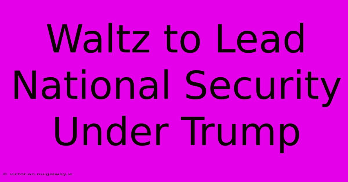 Waltz To Lead National Security Under Trump