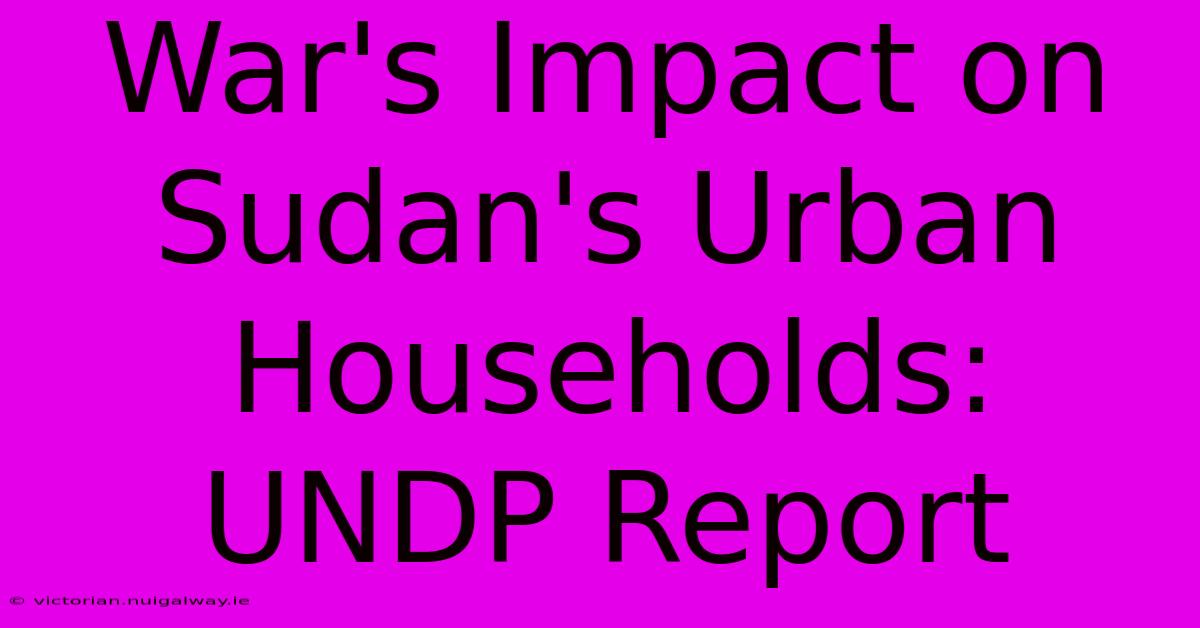 War's Impact On Sudan's Urban Households: UNDP Report